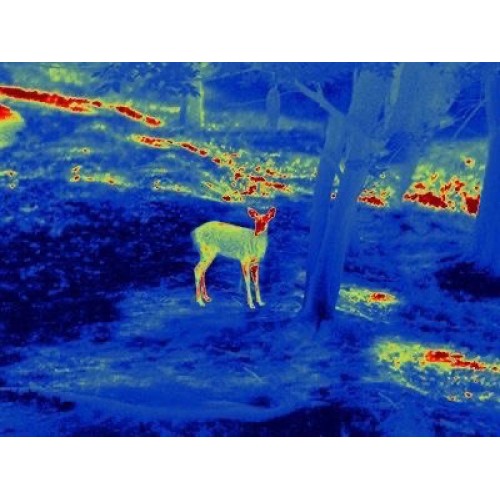 Прицел тепловизионный GUIDE TS450 в Липецке