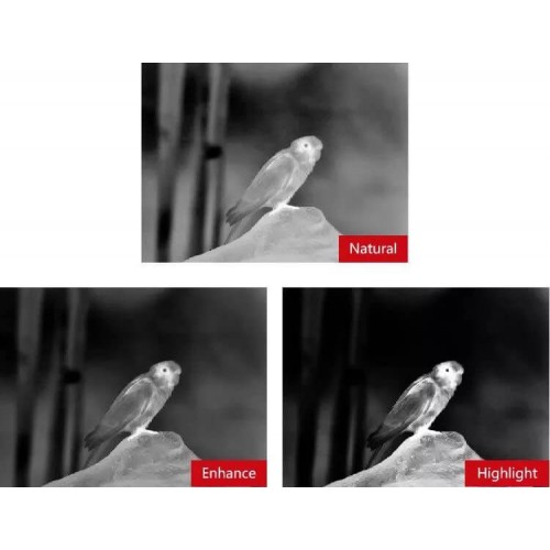 Тепловизионный бинокуляр Guide TN430 400х300, ø35мм, лазерный дальномер в Липецке