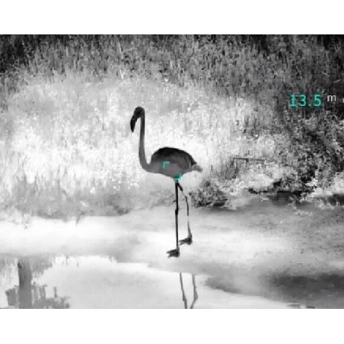 Тепловизионный бинокуляр Guide TN430 400х300, ø35мм, лазерный дальномер в Липецке