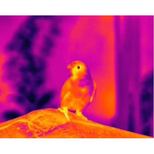 Тепловизионный бинокуляр Guide TN430 400х300, ø35мм, лазерный дальномер в Липецке